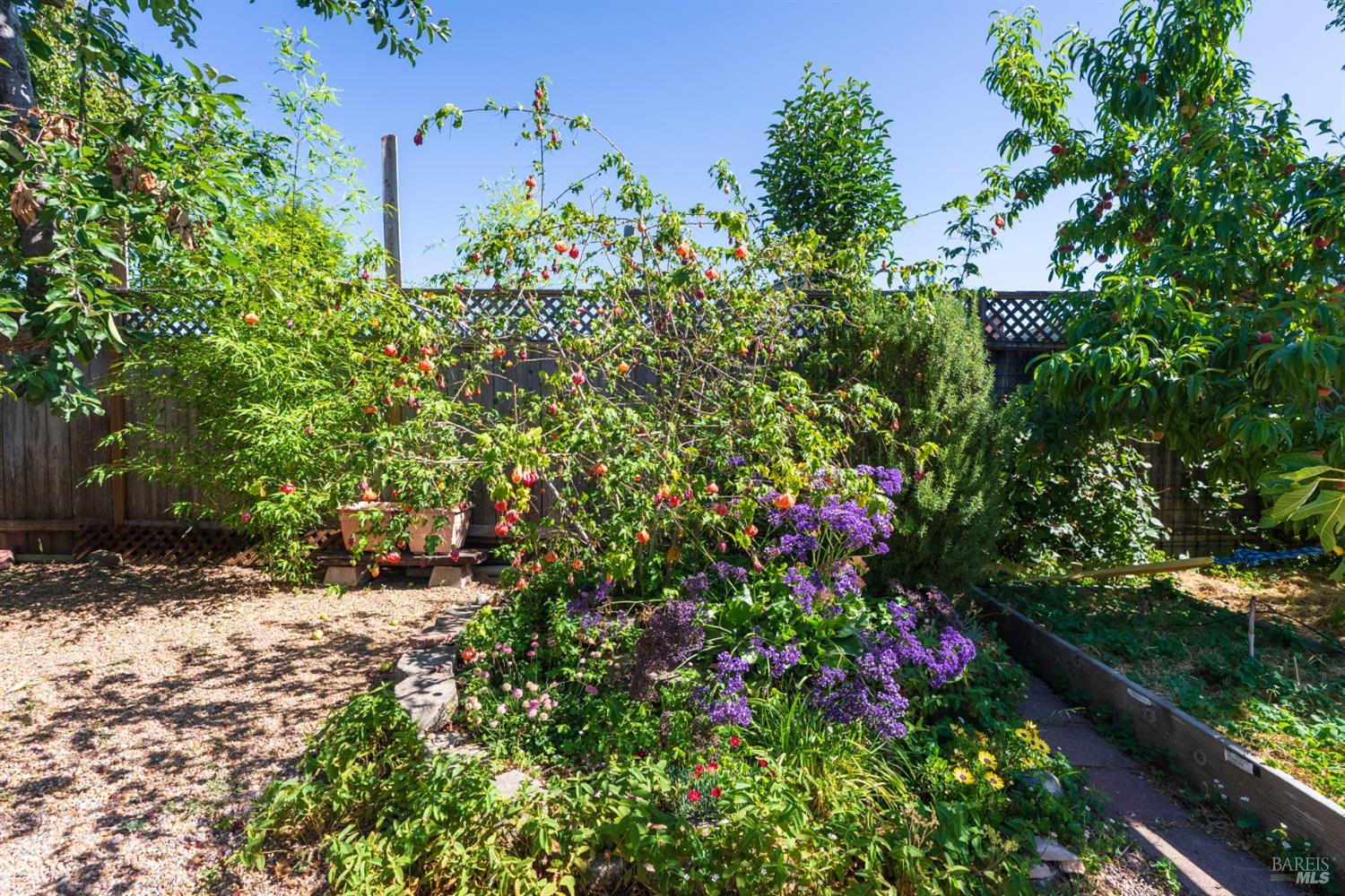 1563 Shay Avenue Santa Rosa, CA 95401 - Photo 36 of 39