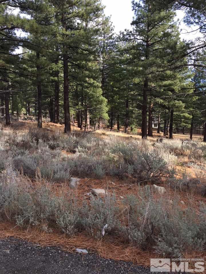Maggie Circle Reno, NV 89511 - Photo 1 of 6 Photo 1