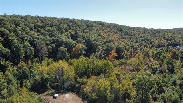 a view of a bunch of trees and bushes