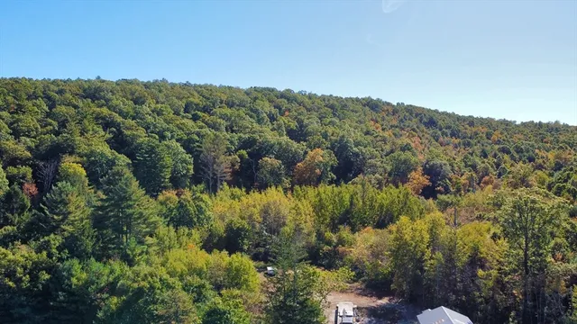 a view of a house with a lush green forest