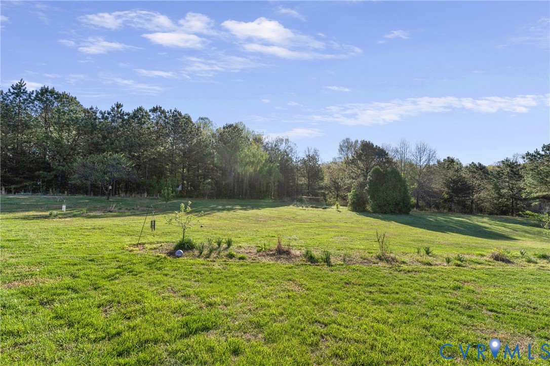15286 Devonwood Road Montpelier, VA 23192 - Photo 16 of 50 View of grassy yard featuring a view of rural / pa