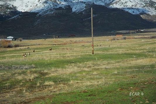 18 Smith Creek Road Spring Creek, NV 89815 - Photo 6 of 8 Gallery Image 6