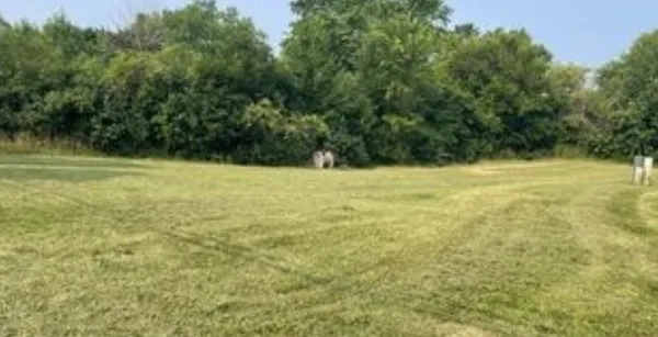 a view of an ocean from a yard