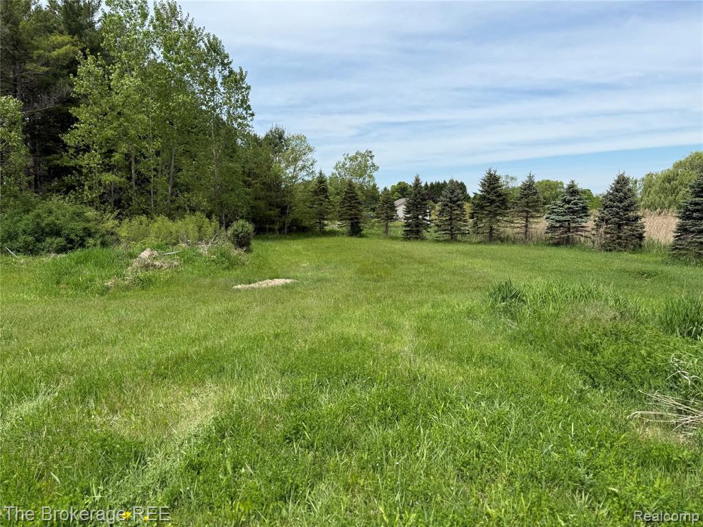 3020 Merwin Road Lapeer, MI 48446 - Photo 11 of 33