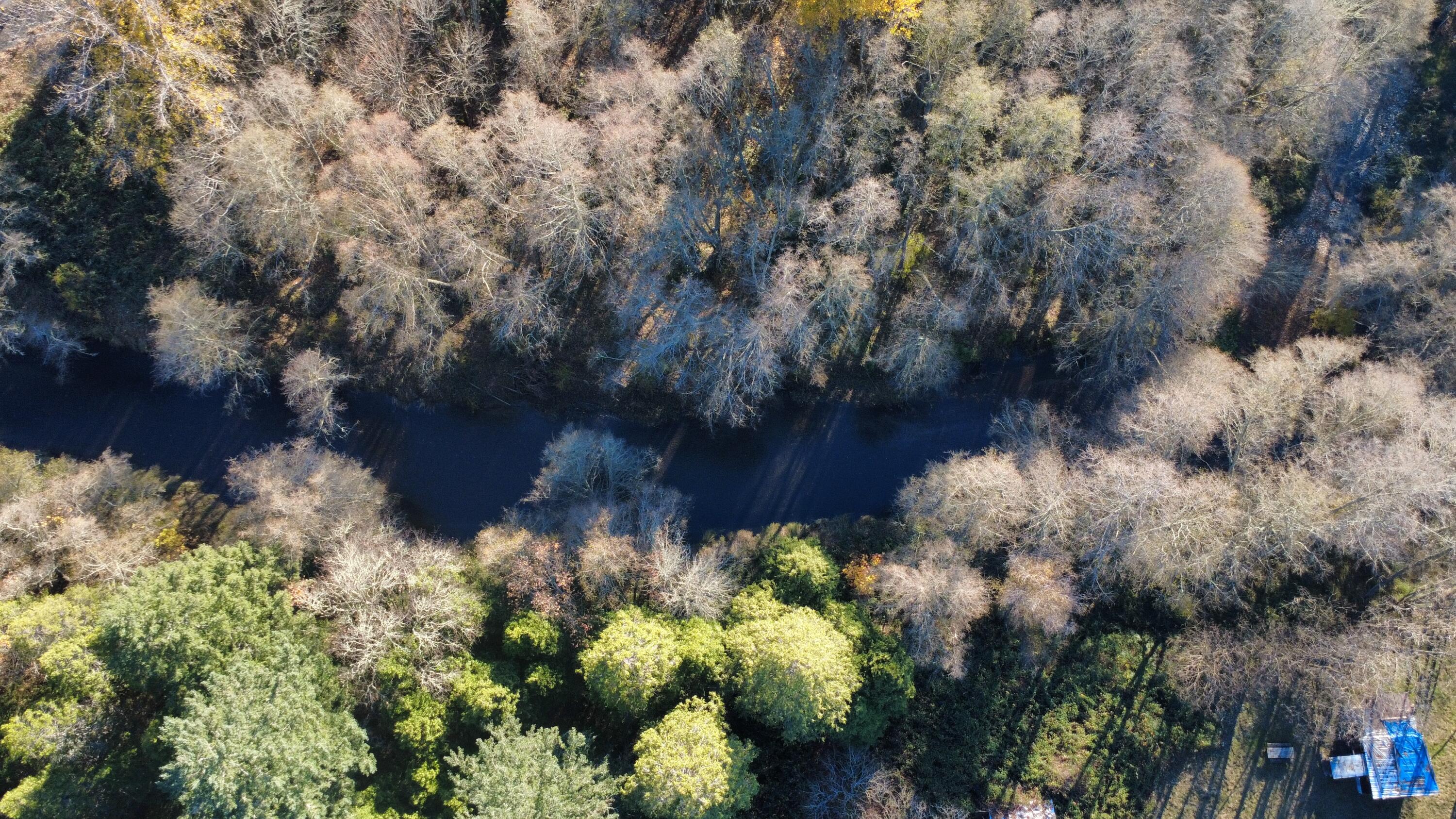 188 Pisqually Lane Azalea, OR 97410 - Photo 10 of 19 dji_fly_20251115_145040_58_1763247138206