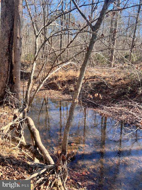 Lot 5998 Vermont Road Rhoadesville, VA 22542 - Photo 4 of 21 Gallery Image 4
