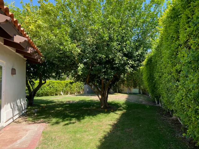 a view of park with trees