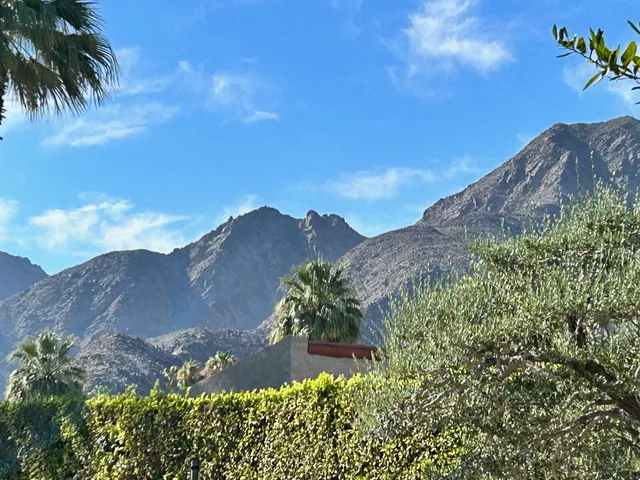 a view of a lake with a mountain in the background