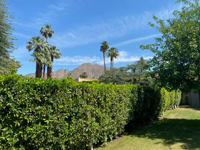 a picture of plants and outdoor space