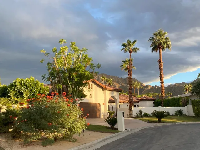 a view of a street with flower plants