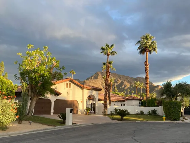 a street view with tall trees