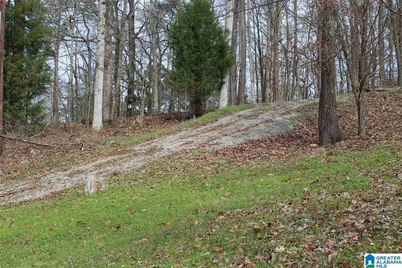 448 Cedar Cove, Unit 5 Alpine, AL 35014 - Photo 17 of 44