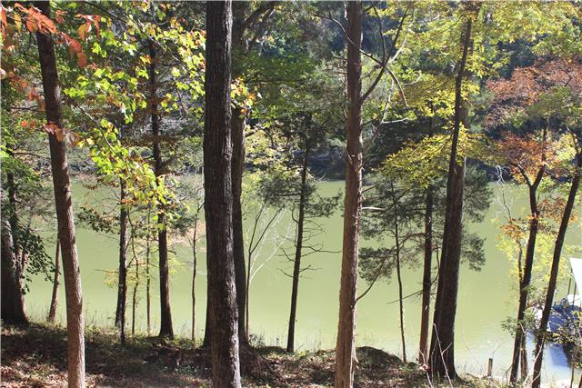 927 Old Ferry Road Doyle, TN 38559 - Photo 2 of 2 Gallery Image 2