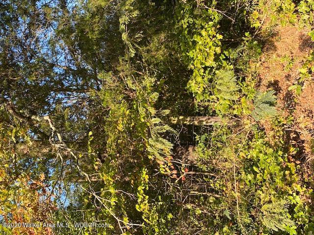Duskin Point Road Jasper, AL 35504 - Photo 2 of 2 Gallery Image 2