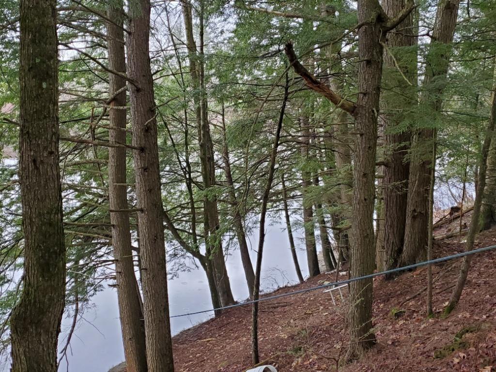 971 Anson Road Starks, ME 04911 - Photo 41 of 51 20190507_161453_resizedMLS
