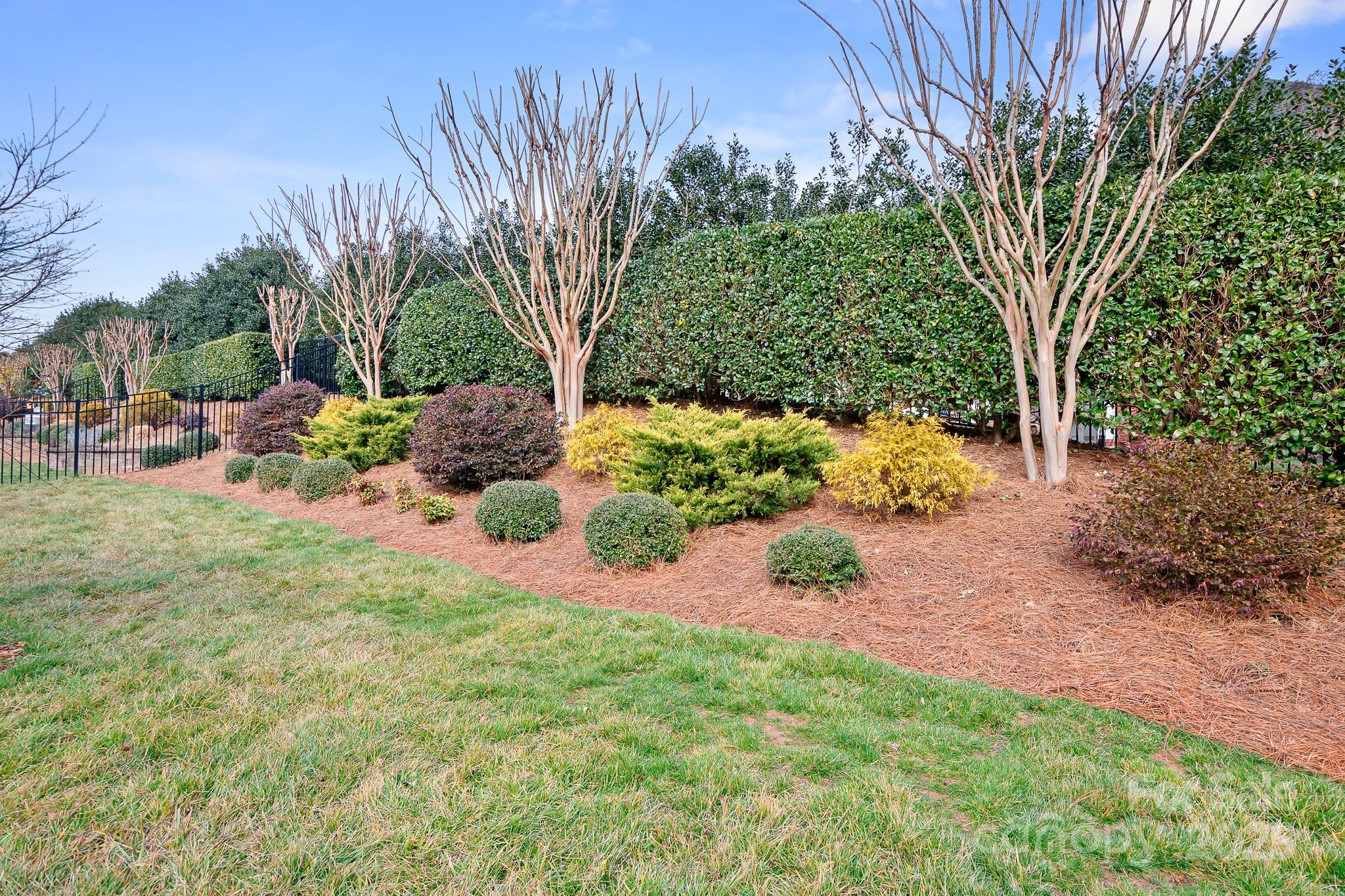 9223 Robbins Preserve Road Cornelius, NC 28031 - Photo 12 of 38 a view of a garden with plants