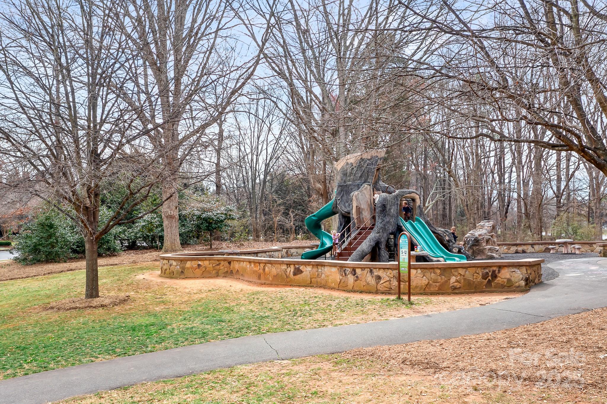 9223 Robbins Preserve Road Cornelius, NC 28031 - Photo 36 of 38 a view of a park with slide