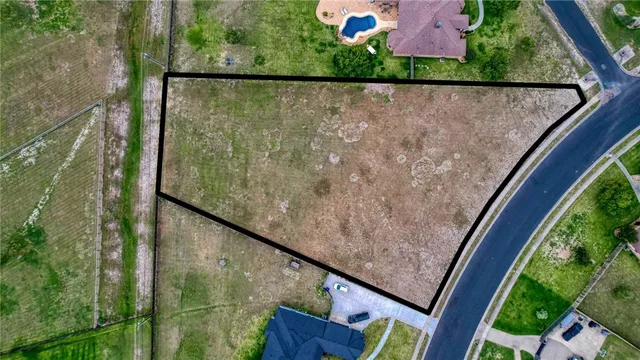 a view of a backyard with plants and a lake view