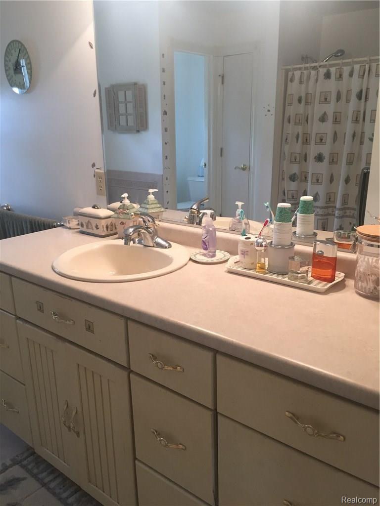39740 Wear Road Belleville, MI 48111 - Photo 26 of 71 Master Bath Sink