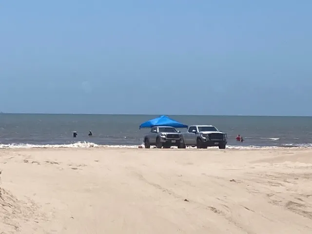 a view of a backyard with a garden and entertaining space