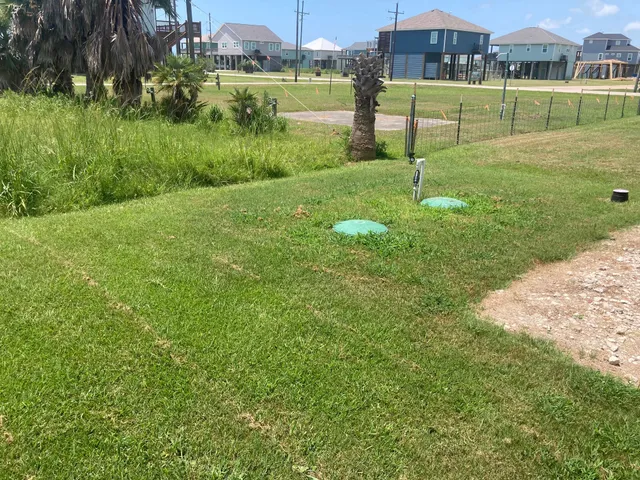 a view of a house with a yard and tree s