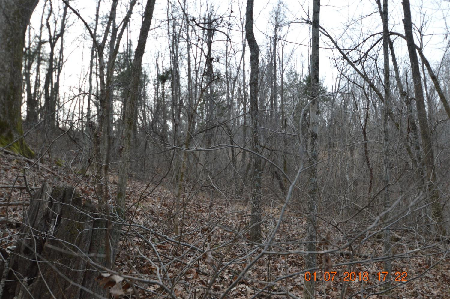 1290 Dennis Road, Unit 3 Lawrenceburg, KY 40342 - Photo 76 of 76 Photo 76