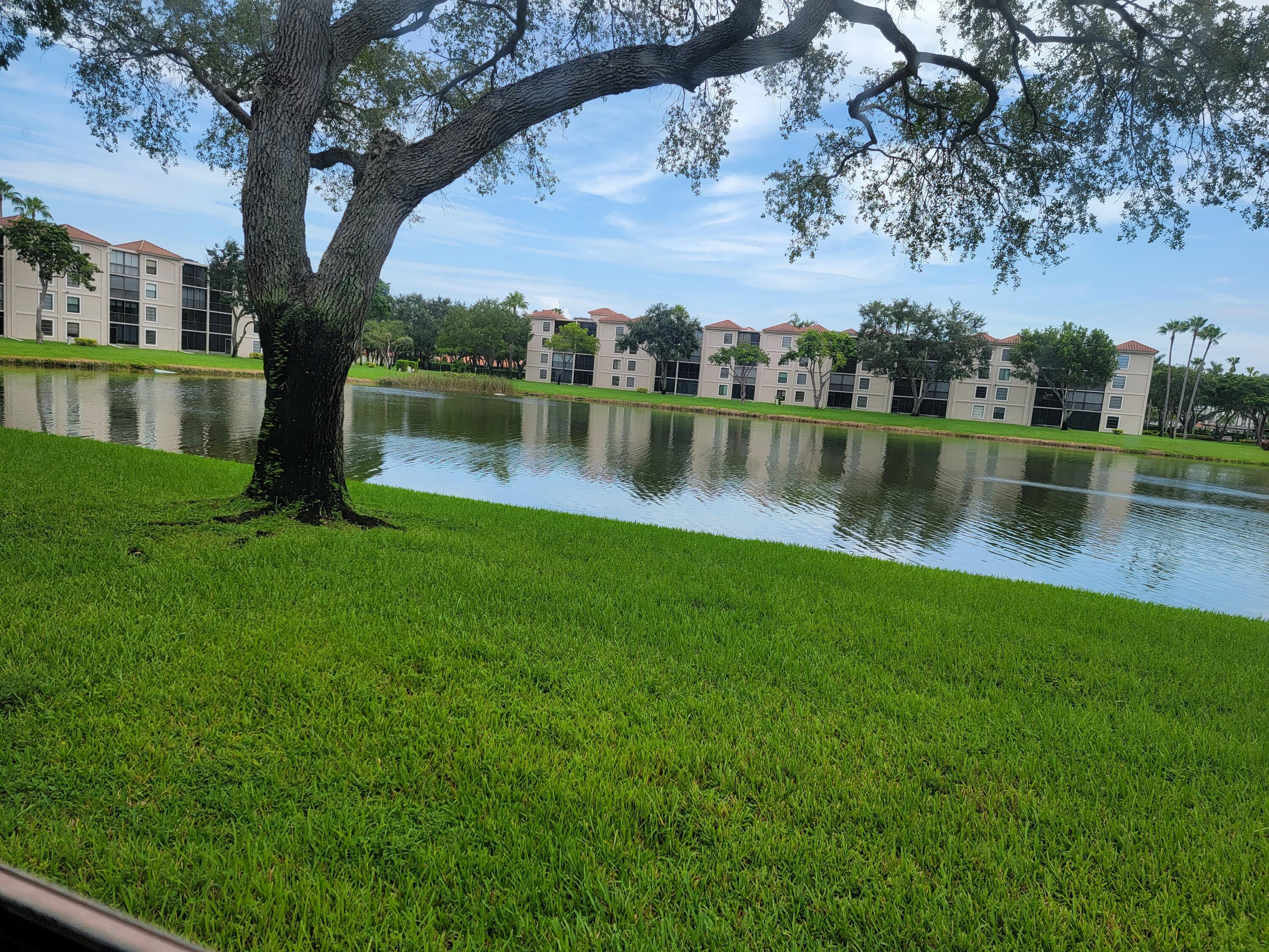 a view of a lake with houses in the background