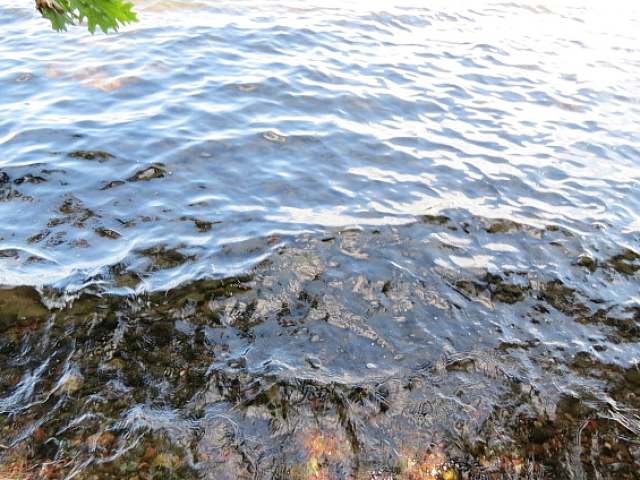 On Ilg Road Manitowish Waters, WI 54545 - Photo 14 of 16 Gallery Image 14