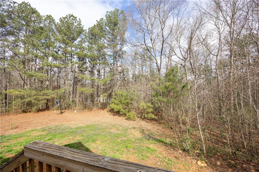 7387 Milam Road Winston, GA 30187 - Photo 34 of 41 a view of a yard with large trees
