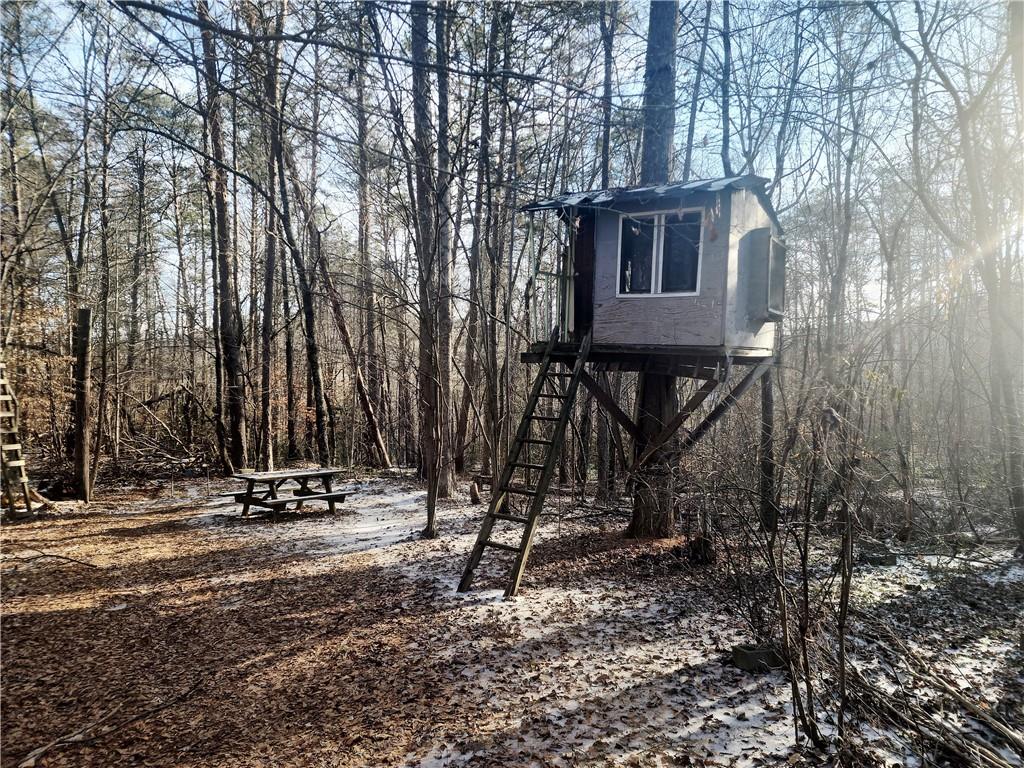 5720 Wade Whelchel Road Murrayville, GA 30564 - Photo 12 of 55