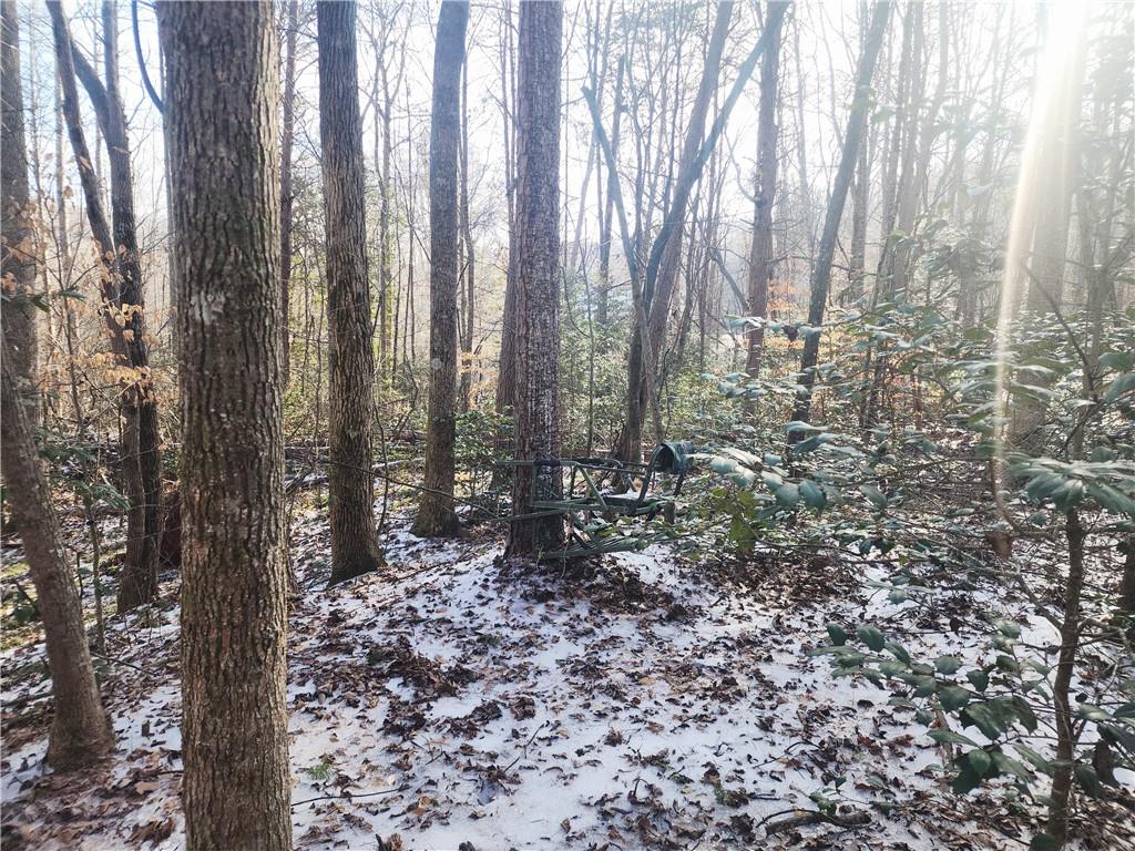 5720 Wade Whelchel Road Murrayville, GA 30564 - Photo 51 of 55