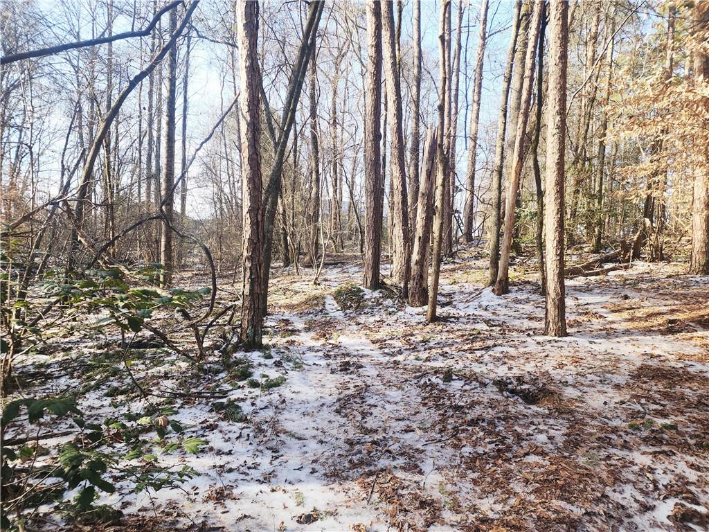 5720 Wade Whelchel Road Murrayville, GA 30564 - Photo 52 of 55