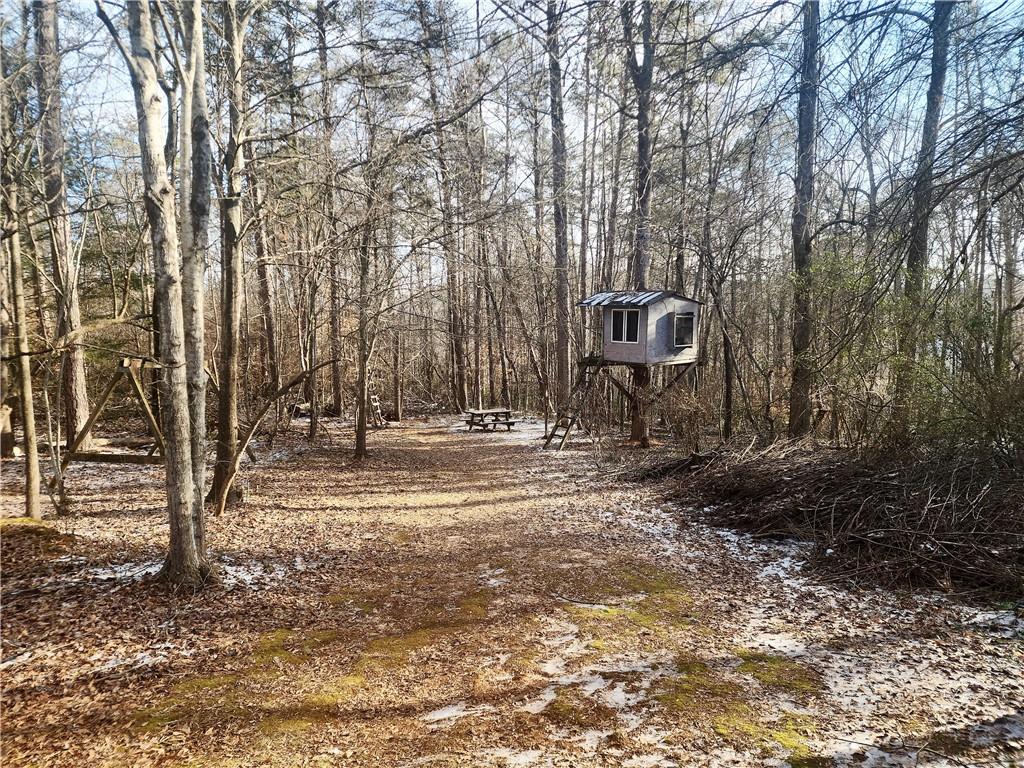 5720 Wade Whelchel Road Murrayville, GA 30564 - Photo 10 of 55