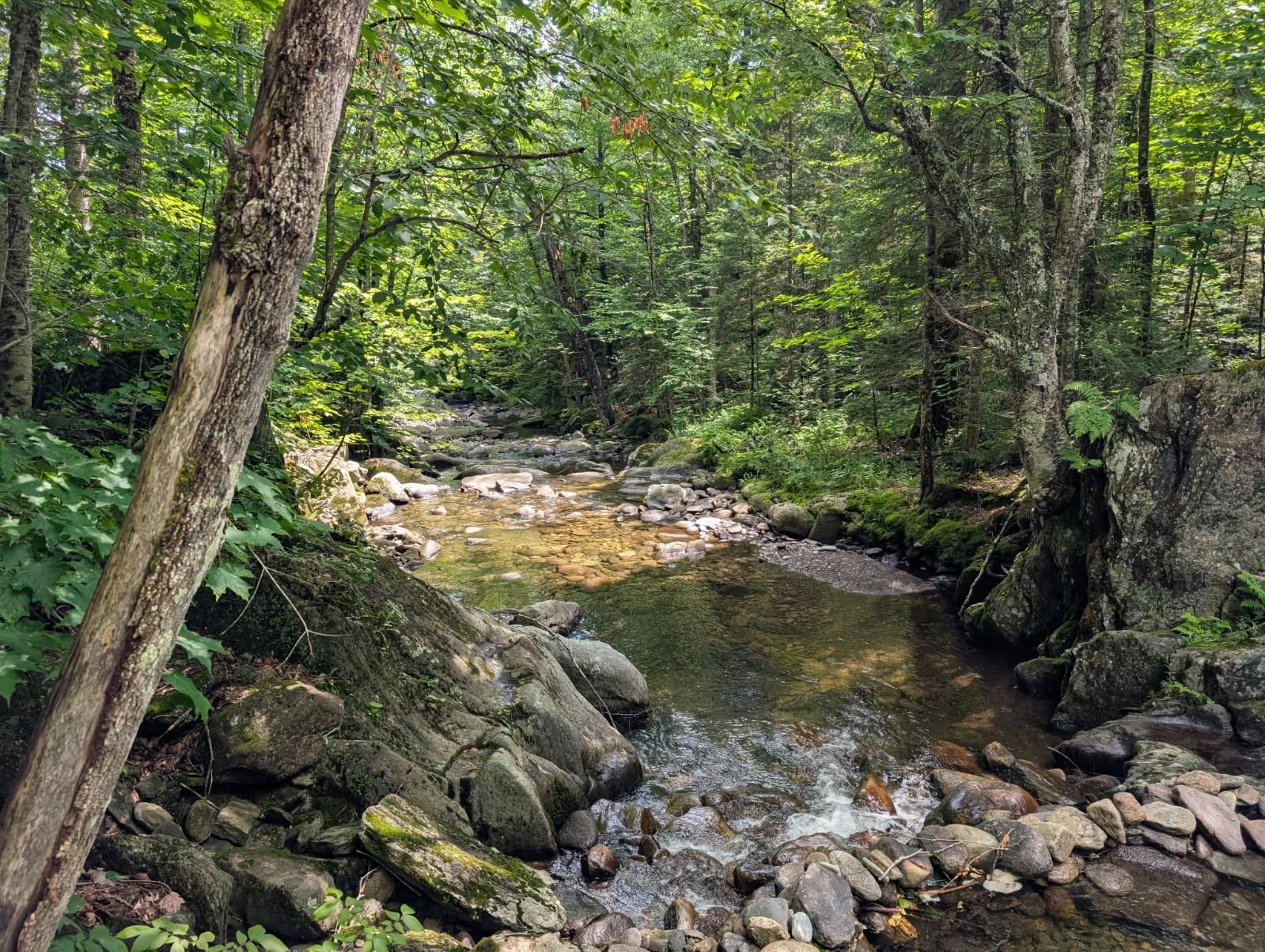 195 Taft Brook Road Westfield, VT 05874 - Photo 23 of 30