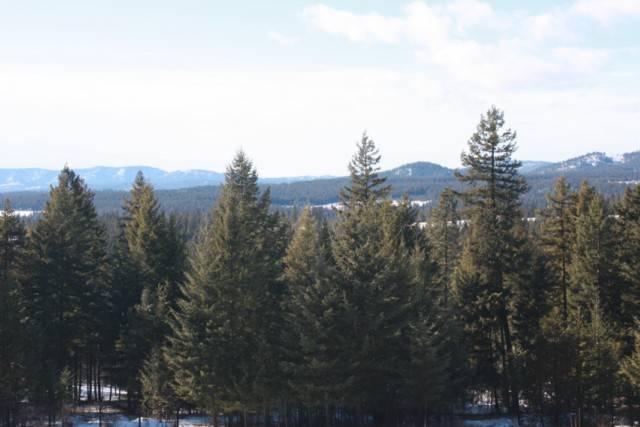 576 Regal Road Elk, WA 99009 - Photo 1 of 8