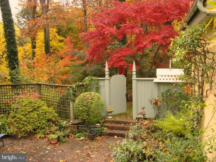 509 County Line Road Radnor, PA 19087 - Photo 24 of 25 Garden
