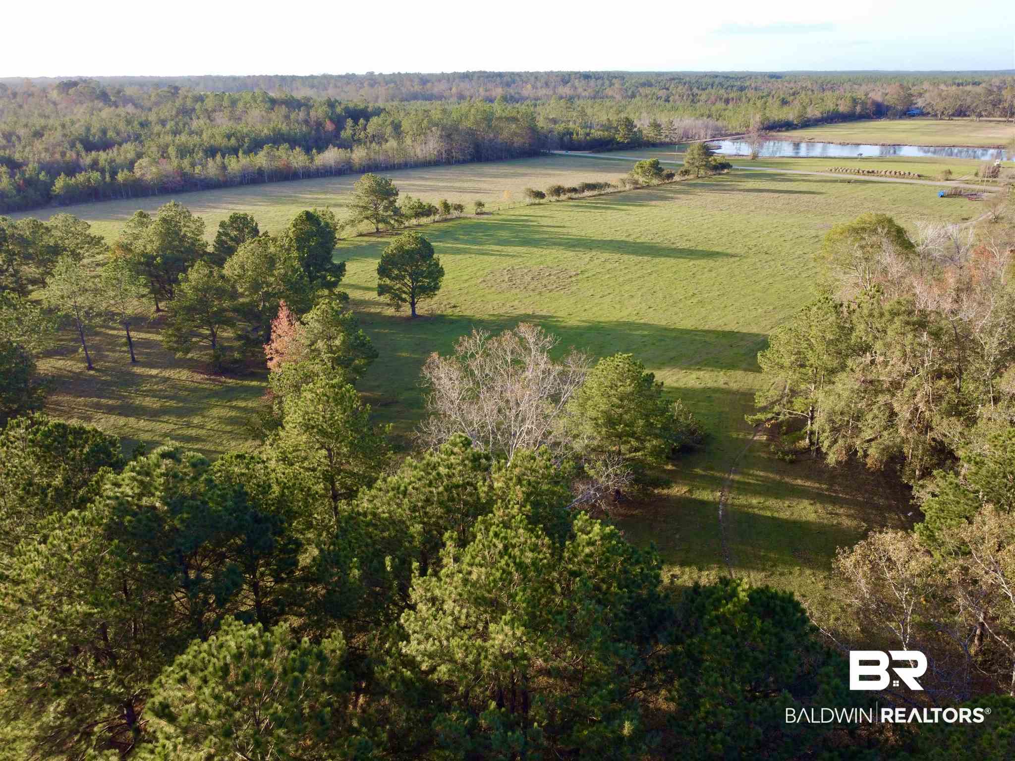 0 Country Road Fruitdale, AL 36539 - Photo 3 of 47