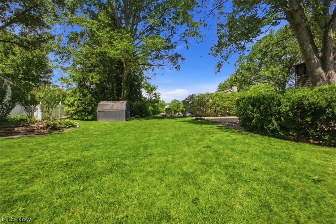 2411 Ridgeview Lane Youngstown, OH 44514 - Photo 35 of 48 Expansive lawn area featuring mature trees and established perimeter shrubbery