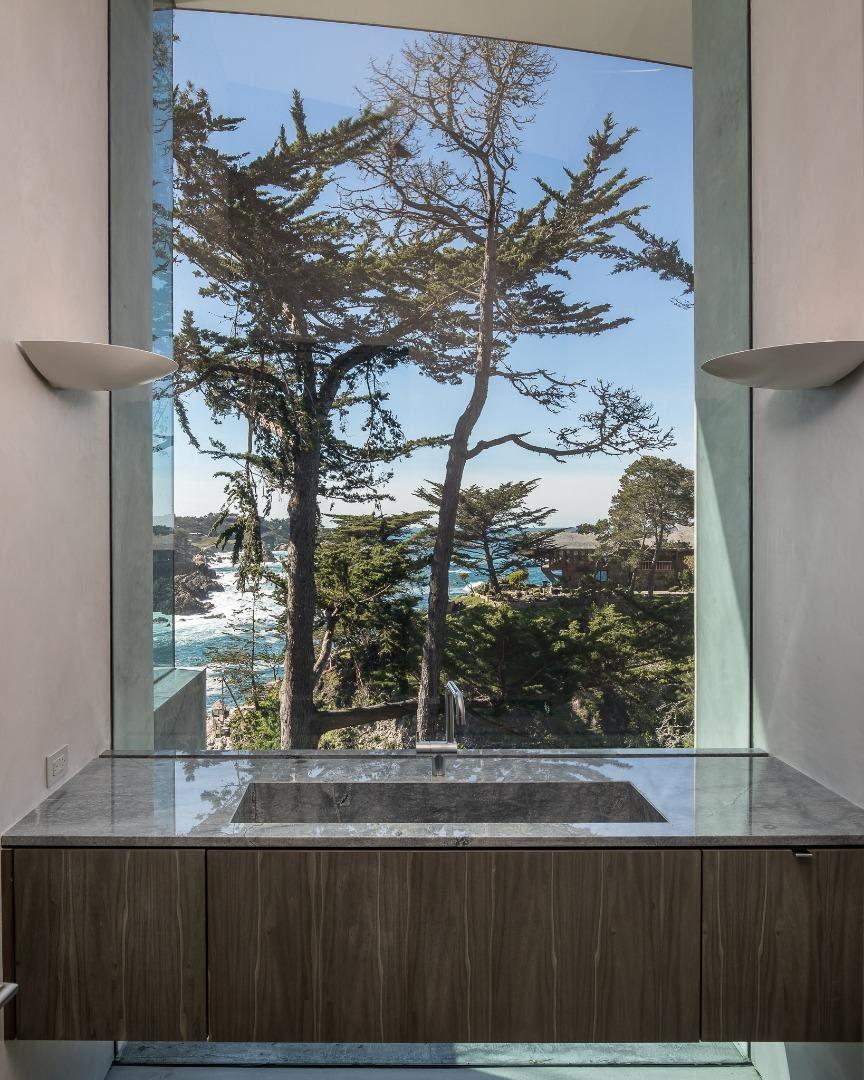 243 Highway 1 Carmel, CA 93923 - Photo 13 of 20 a view of a tree in a yard