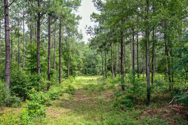 $159,500 | 1050 Crockett Tx 75835, Crockett, TX 75835