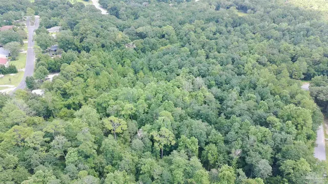 an aerial view of forest