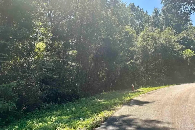 a view of a yard with a tree