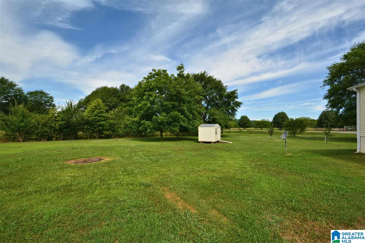 805 North Horton Road Wilsonville, AL 35186 - Photo 27 of 30