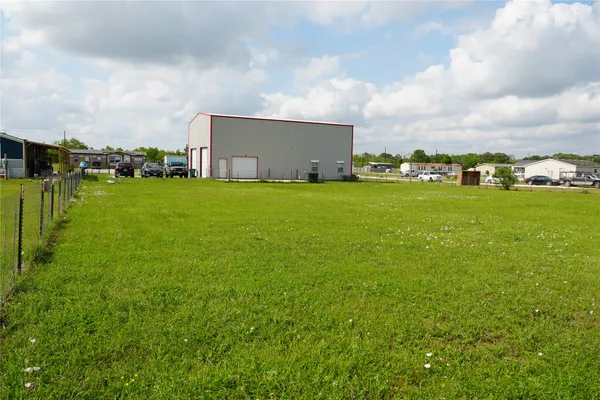 a picture of a big yard with plants and large tree