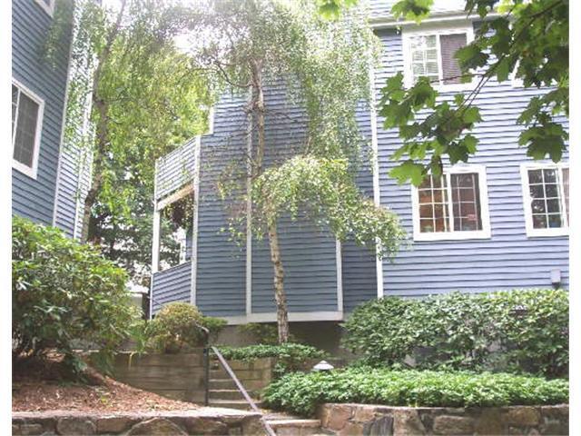 2 Spring Hill Avenue, Unit 15 Norwalk, CT 06850 - Photo 1 of 1 a view of a house with a yard and potted plants