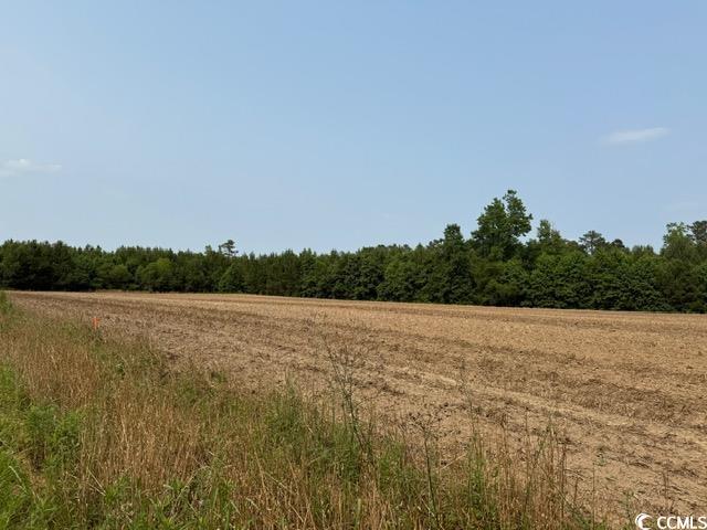 Lot 8 Mack Road Conway, SC 29526 - Photo 3 of 8 Gallery Image 3