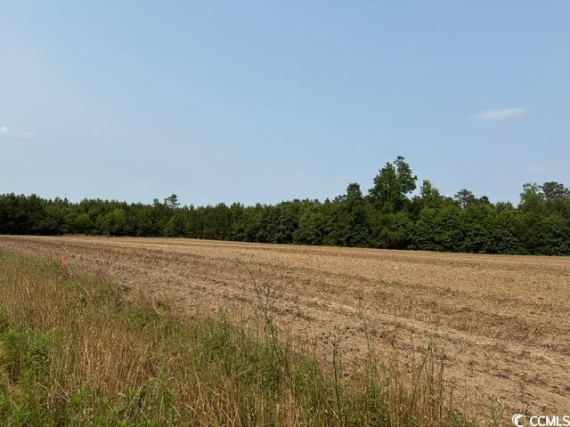 Lot 8 Mack Road Conway, SC 29526 - Photo 4 of 8 Gallery Image 4