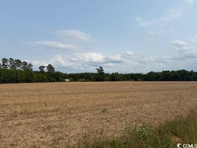 Lot 8 Mack Road Conway, SC 29526 - Photo 5 of 8 Gallery Image 5