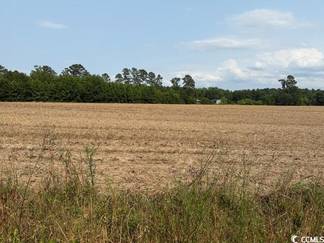 Lot 8 Mack Road Conway, SC 29526 - Photo 6 of 8 Gallery Image 6