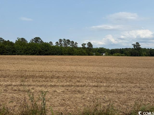 Lot 8 Mack Road Conway, SC 29526 - Photo 7 of 8 Gallery Image 7